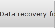 Data recovery for Wausau data